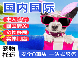 甘南夏河航空货运国际宠物托运 【国